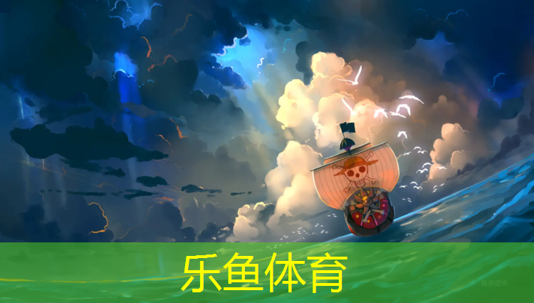 leyu·乐鱼(中国)体育官方网站,跆拳道护具超帅变装图