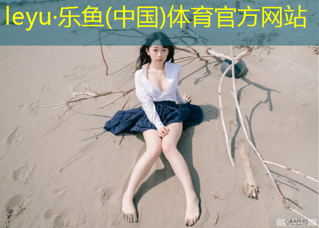 乐鱼体育,西藏户外塑胶跑道建设
