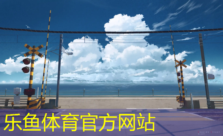 乐鱼体育,户外纹理型塑胶跑道