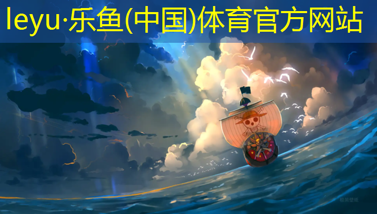 leyu·乐鱼(中国)体育官方网站,铜陵专用塑胶跑道施工做法