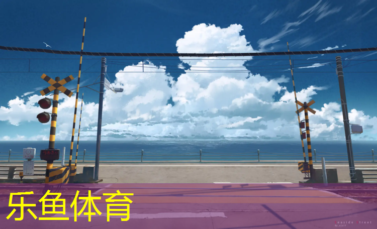 乐鱼体育,孝感混合型塑胶跑道