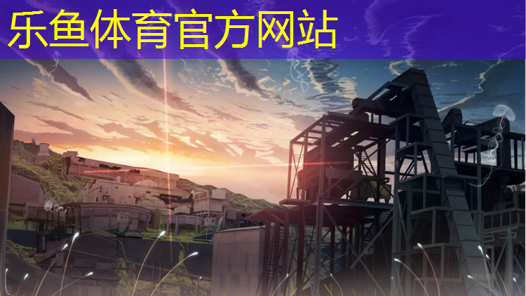 乐鱼体育,吉安塑胶跑道颗粒施工