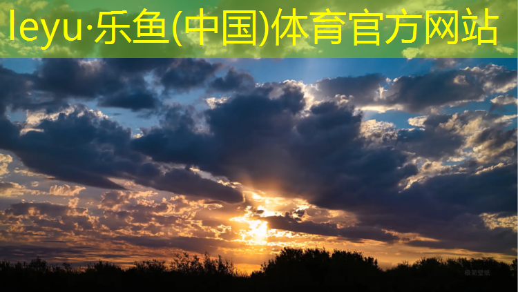 <strong>乐鱼体育,郑州塑胶跑道定制费用标准</strong>