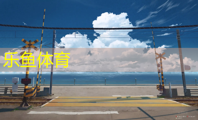<strong>乐鱼体育,塑胶跑道成品展示图纸</strong>