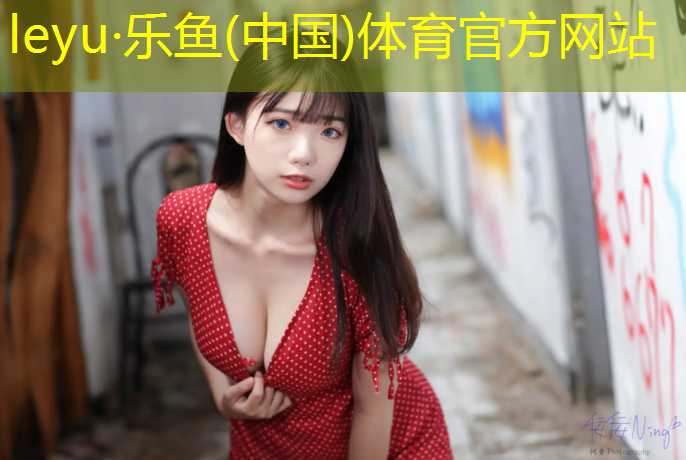大足网球网价格查询