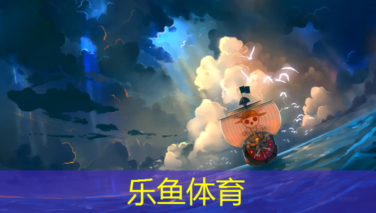 铜陵专用塑胶跑道施工做法